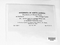 Image Associated With the Occurence